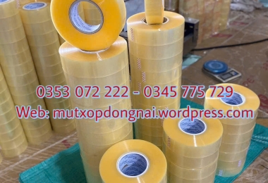 Băng Keo Trong Cuộn Lớn 1Kg Tại Bình Dương