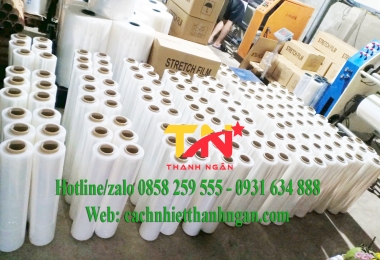 Xưởng Sản Xuất Cuộn Màng PE Tại ICD Tân Cảng - Long Bình