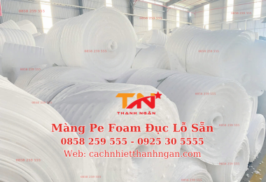 Tấm Xốp Foam Đục Lỗ Lót Dưa, Xoài 