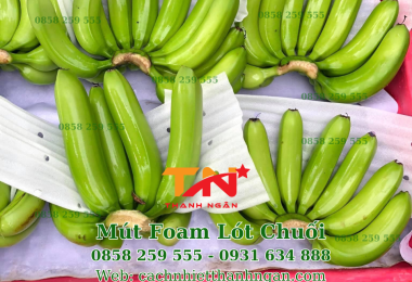 Mua Tấm Xốp Foam Bọc Chuối Ở Đâu Long Thành