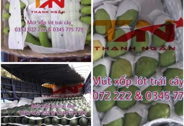 Tấm Xốp Foam Đục Lỗ Lót Dưa, Xoài 