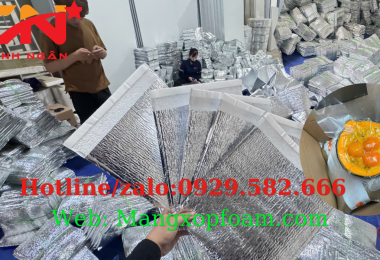 Túi Xốp Bạc Giữ Nhiệt Giá Rẻ Tại TP HCM, Bình Dương, Đồng Nai – Túi Xốp Bạc Giữ Nhiệt Đựng Thực Phẩm Xuất Khẩu-0929.582.666