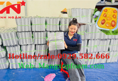  Túi Xốp Bạc Giữ Nhiệt Thực Phẩm Giá Sỉ Tại TP HCM – Thanh Ngân Sản Xuất Theo Kích Thước Yêu Cầu - 0929 582 666